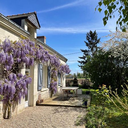 Chambres D Hotes Avec Piscine Et Spa La Foliere Saumur Villebernier Eksteriør billede