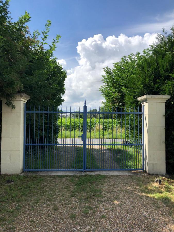 Chambres D Hotes Avec Piscine Et Spa La Foliere Saumur Villebernier Eksteriør billede