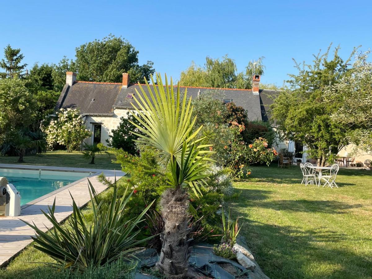 Chambres D Hotes Avec Piscine Et Spa La Foliere Saumur Villebernier Eksteriør billede